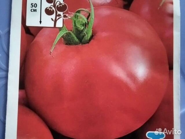 Излишки рассады помидор