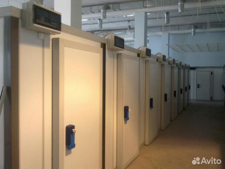 Морозильные камеры бу. В наличии более 500 шт