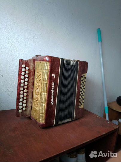 Гармонь Маричка 3