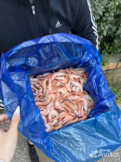 Креветки
