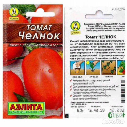 Рассада низкорослых помидор. Сорт томатов челнок