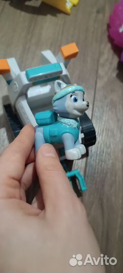 Трекер, эверест