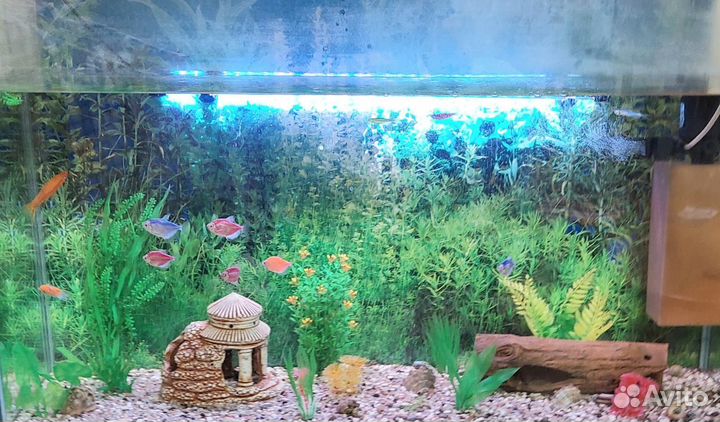 Аквариум