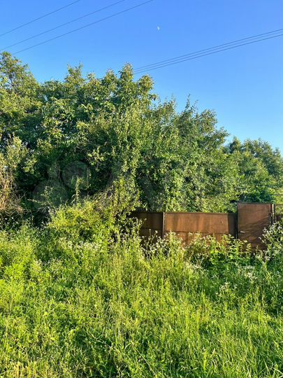 Участок 25 сот. (ИЖС)