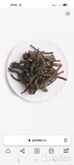 Корень одуванчика