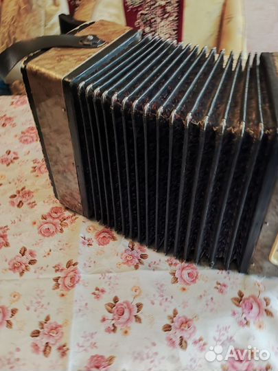 Гармонь любительская