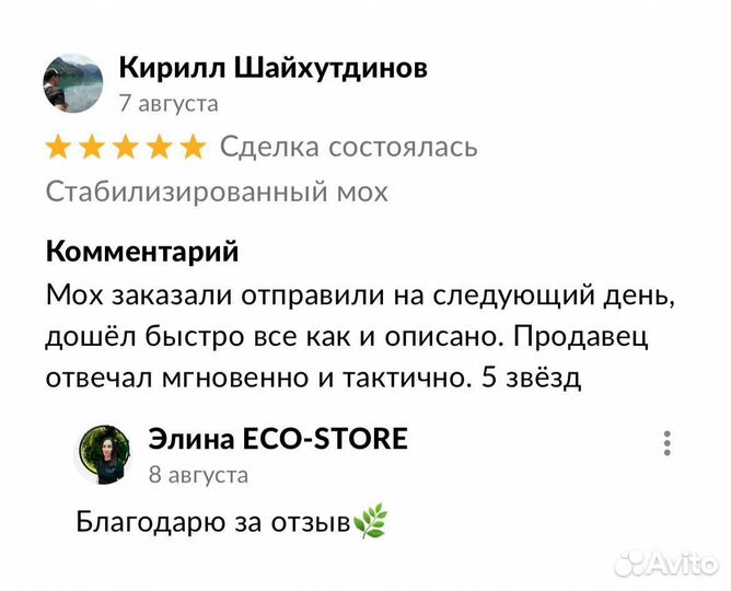 Буквы со мхом для логотипа