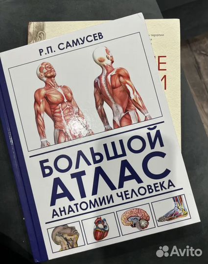 Атлас анатомии