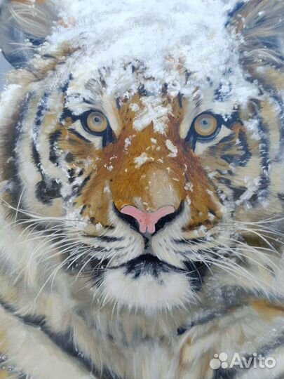 Картина маслом на холсте тигр в снегу