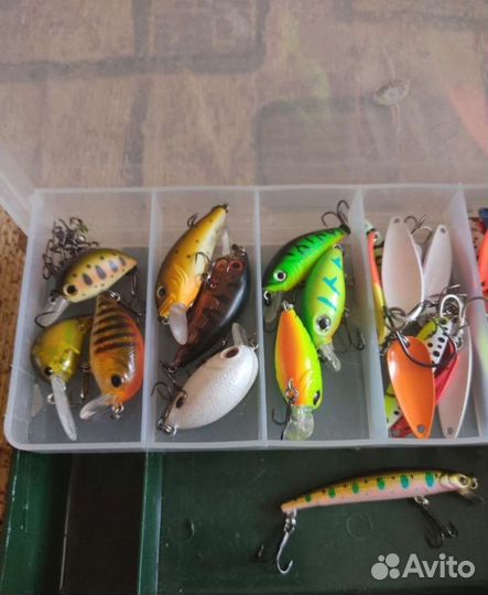 Форелевые блëсна