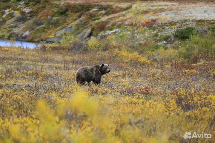 Туры, джип туры, экскурсии по Камчатке