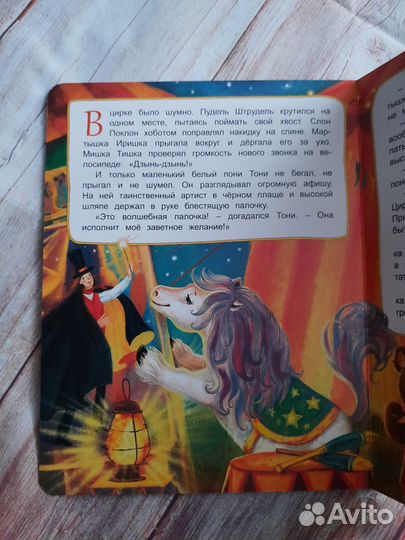 Мечта маленького Пони. Е. Земляничкина. Книга