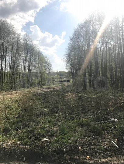 Участок 2,45 га (СНТ, ДНП)