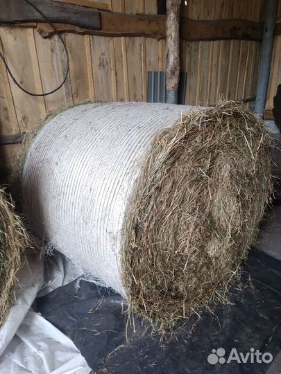 Сено в круглых тюках