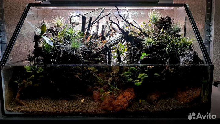 Палюдариум