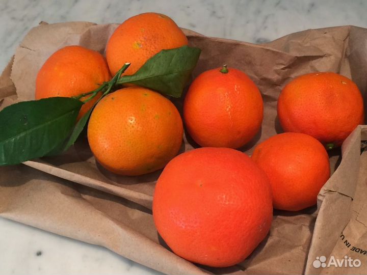 Лимон Кантонский