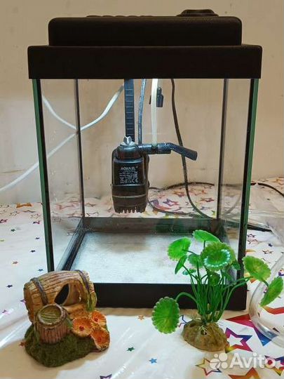 Аквариум