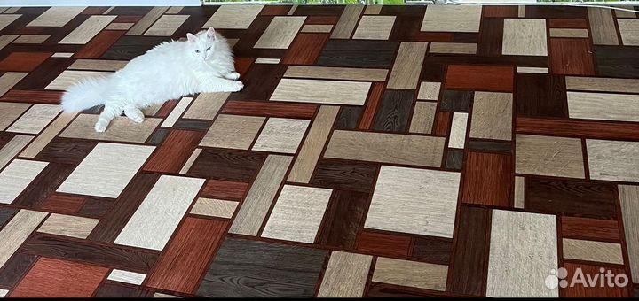 Линолеум Tarkett