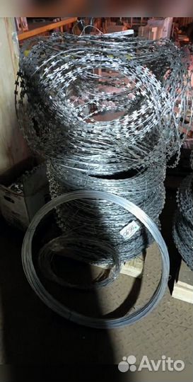 Колючая проволока егоза