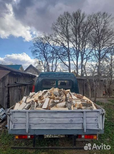 Дрова береза