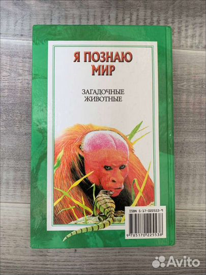 Энциклопедия