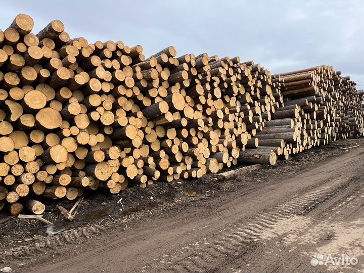 Лес кругляк пиловочник