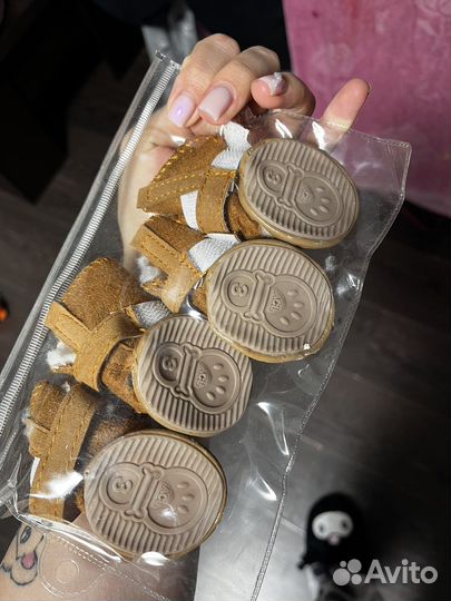 Ботинки для собак