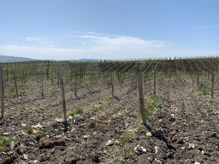 Участок 10 га (СНТ, ДНП)