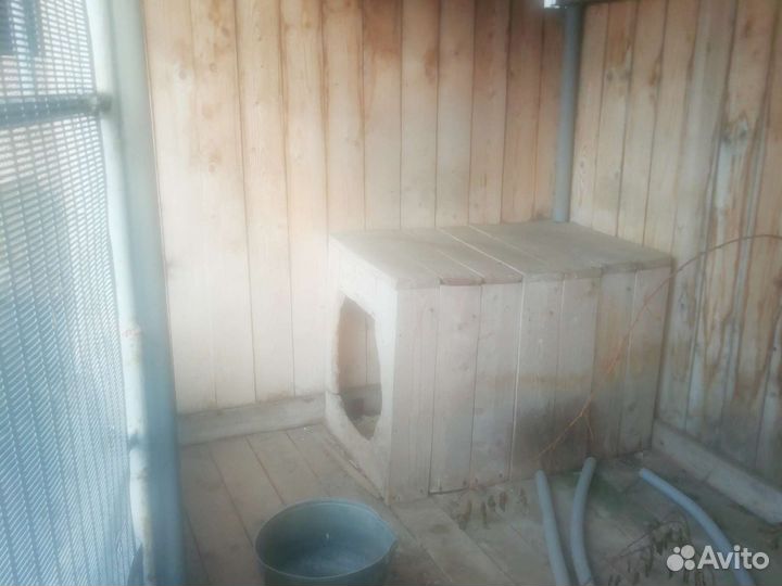 Вольер для собак