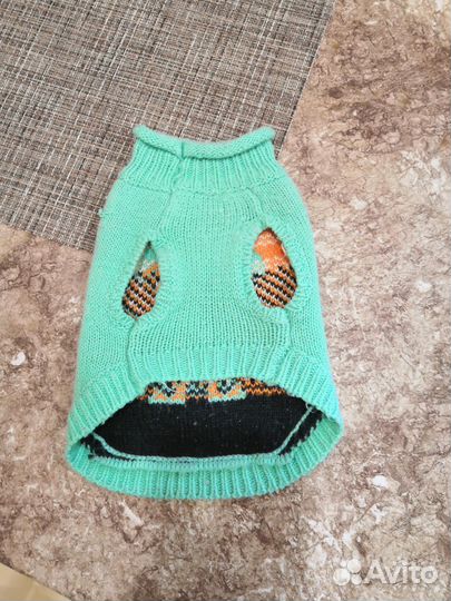 Одежда для кошек