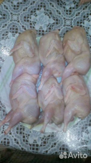 Яйца перепелиные