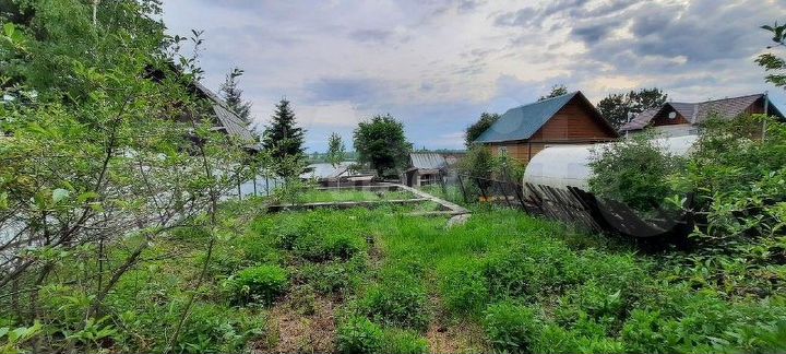 Участок 5,1 сот. (СНТ, ДНП)