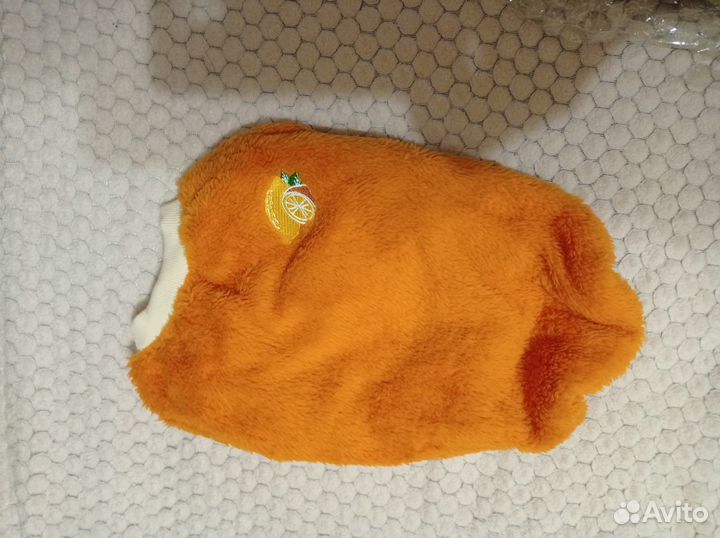 Одежда для собак