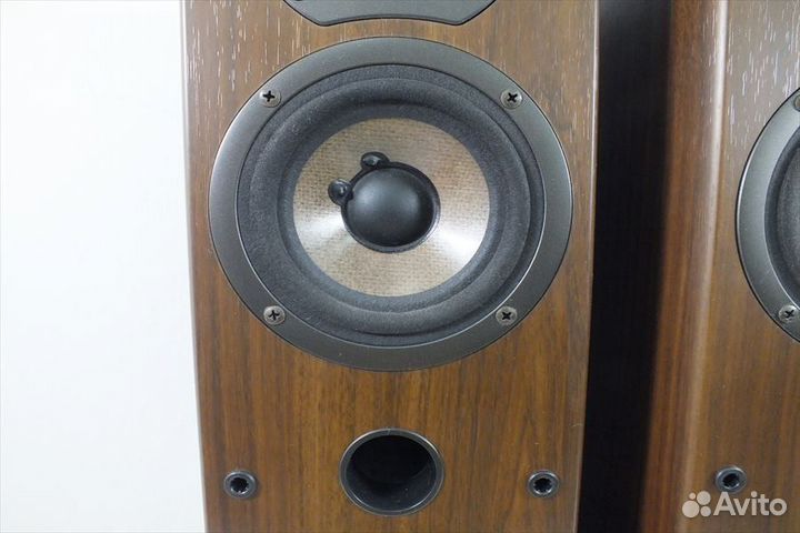 Напольные колонки Onkyo D-205F