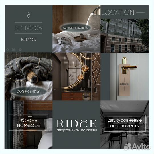 Дизайнер сайта