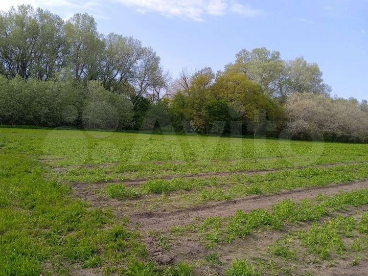 Участок 2,83 га (СНТ, ДНП)