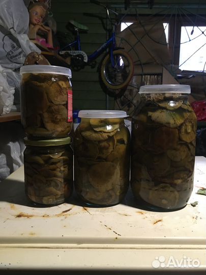 Рыжики Соленые