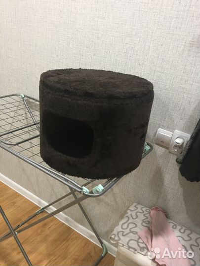 Котодом