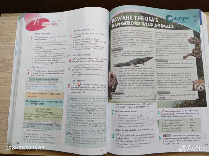 Спотлайт 9 класс. Учебник и рабочая тетрадь