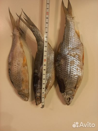 Продам вяленую рыбу