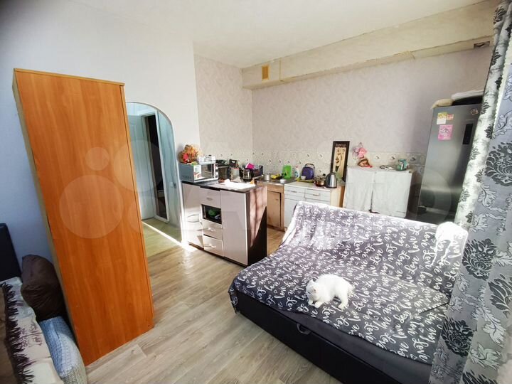 Квартира-студия, 33,5 м², 1/4 эт.