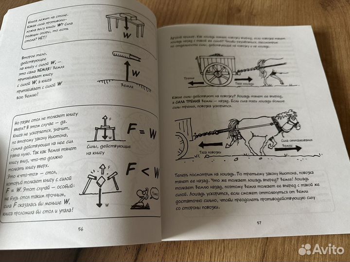 Книга Физика в комиксах