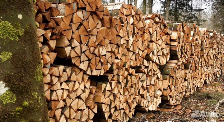 Дрова кубометр