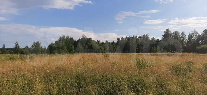 Участок 2,14 га (ИЖС)