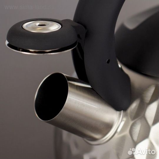 Чайник со свистком из нержавеющей стали Magistro G