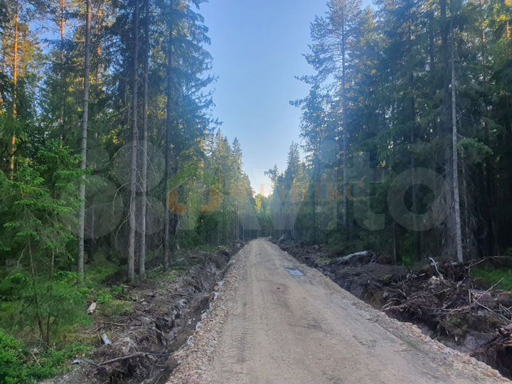 Участок 4,67 га (СНТ, ДНП)