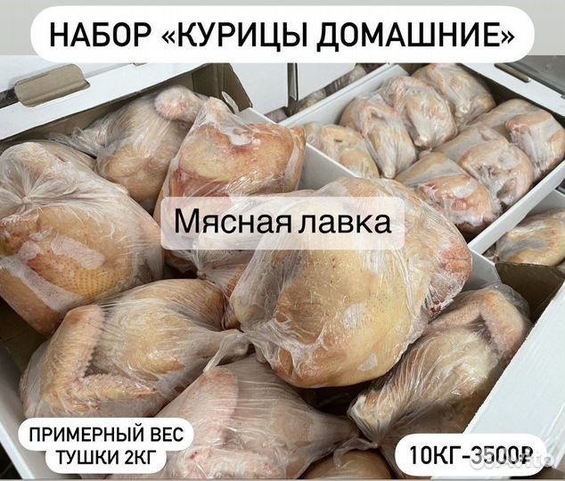 Домашние куры бройлеры