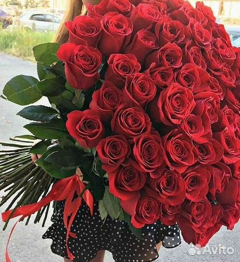 51 Роза, Букеты Цветы Розы 25 101 501 1001