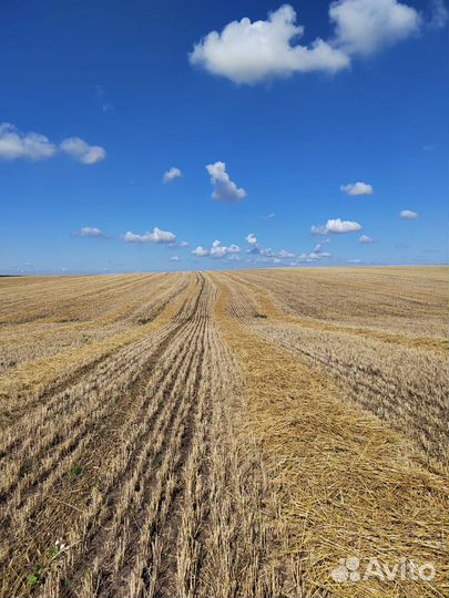 Солома в тюках