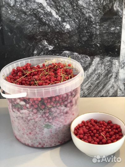 Смородина замороженная